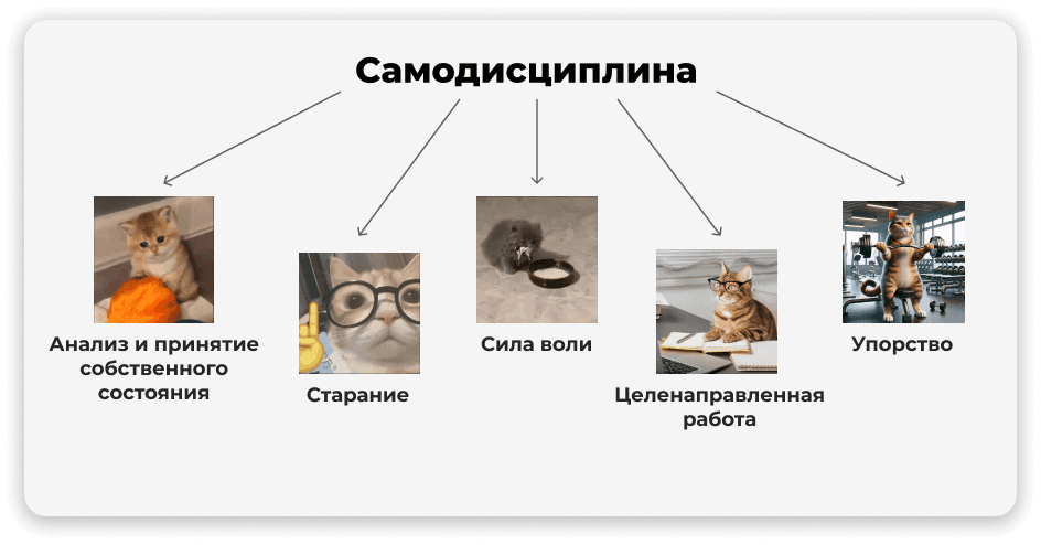 самодисциплина имеет 5 элементов