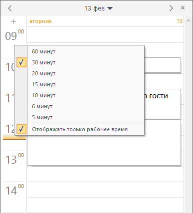 Настройка отображения временной шкалы ежедневника