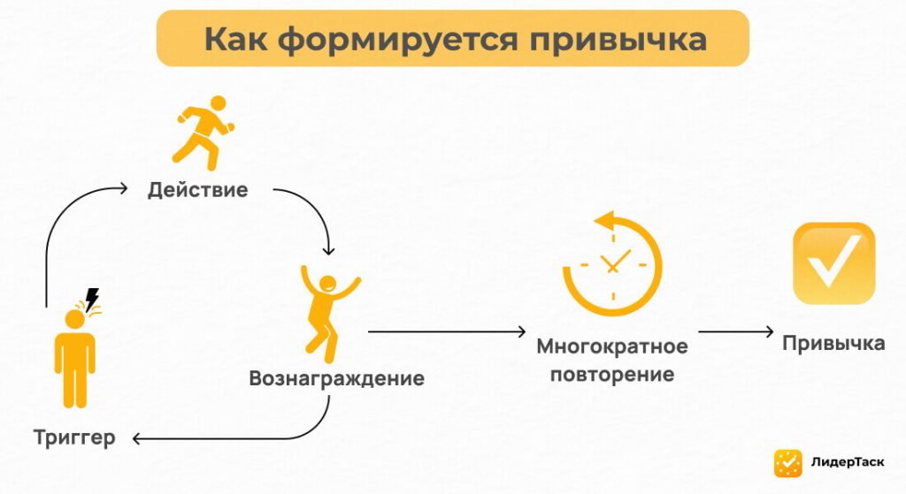 Как формируется привычка